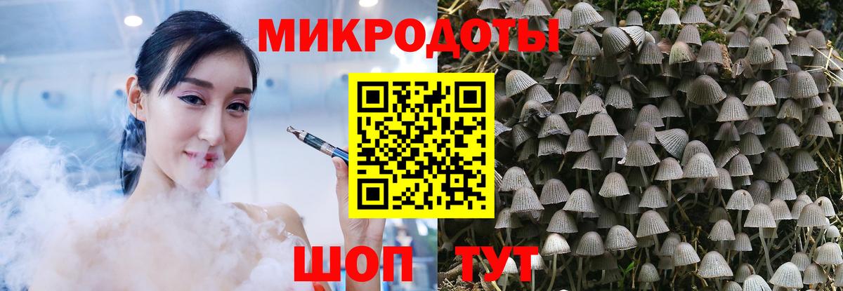Галлюциногенные грибы Psilocybine cubensis Кузнецк