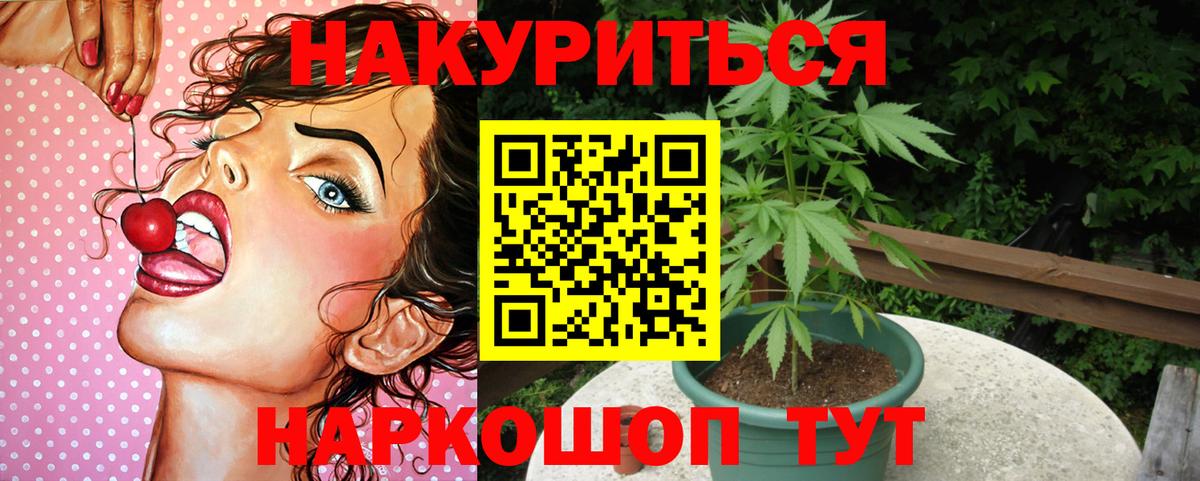 Каннабис индика Кузнецк