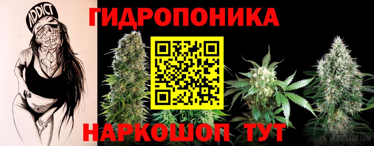 Канабис ГИДРОПОН  Вход с VPN  Конопля сатива  Кузнецк 